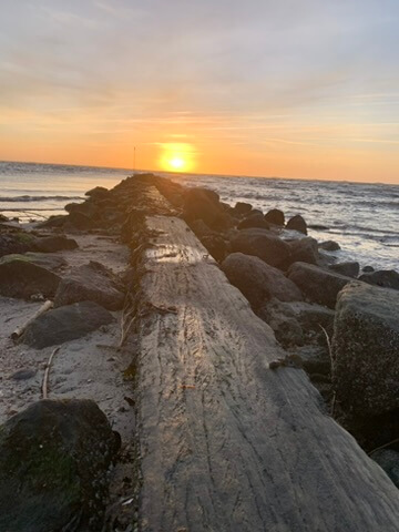 eine Buhne bei sonnenuntergang